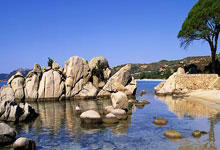 周六013意甲卡利亚里vs亚特兰大-九游网页版